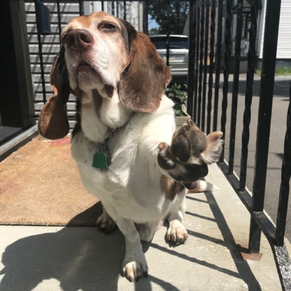 Meet your Posher, Christopher